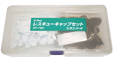イナキャップ　シェルコン会　2個セット Combi コンビ ホワイトレーベル ネムリラ コードレス AUTO SWING